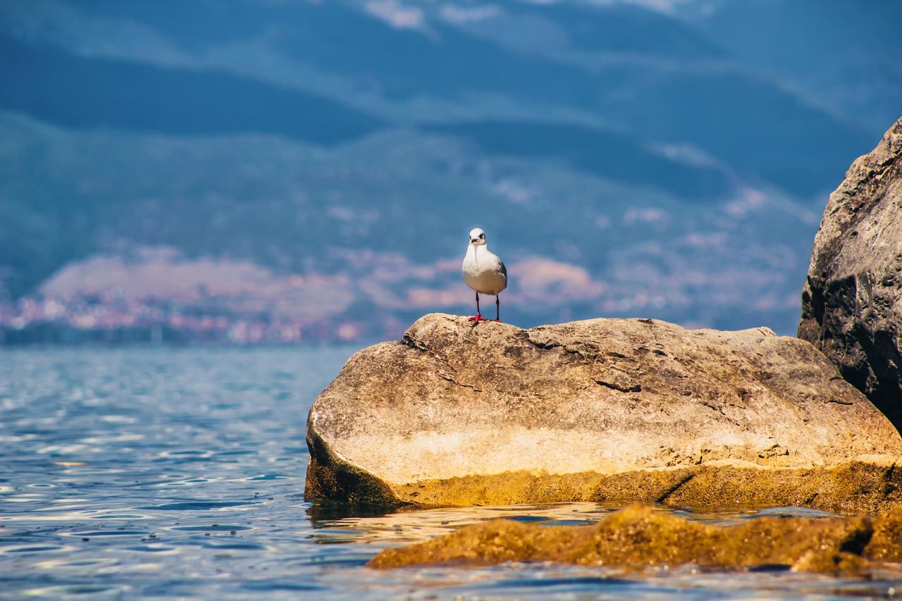 Park Lakeside Οχρίδα Εξωτερικό φωτογραφία
